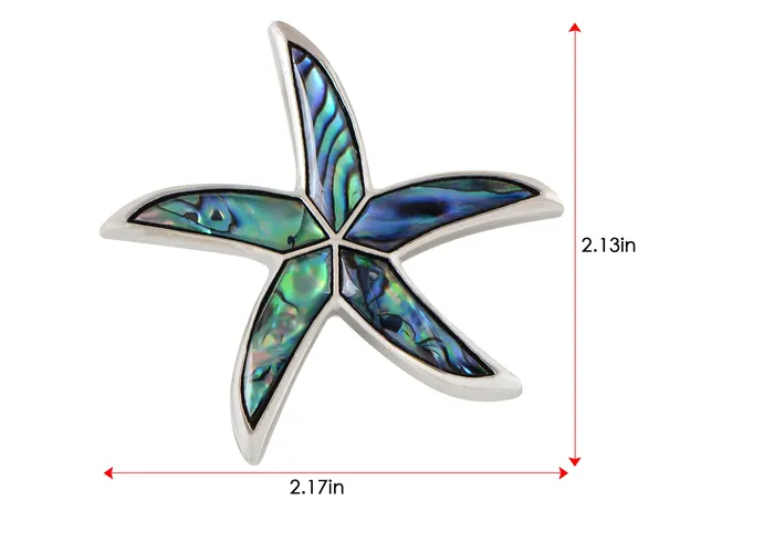 ALILANGCOM Necklaces Alilang Silver Tone Abalone Shell Starfish Sea Star Animal Brooch Pin Pendant ALILANGCOM Necklaces Alilang Silver Tone Abalone Shell Starfish Sea Star Animal Brooch Pin Pendant
