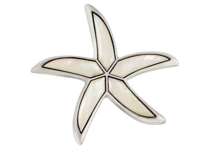 ALILANGCOM Necklaces Alilang Silver Tone Abalone Shell Starfish Sea Star Animal Brooch Pin Pendant ALILANGCOM Necklaces Alilang Silver Tone Abalone Shell Starfish Sea Star Animal Brooch Pin Pendant